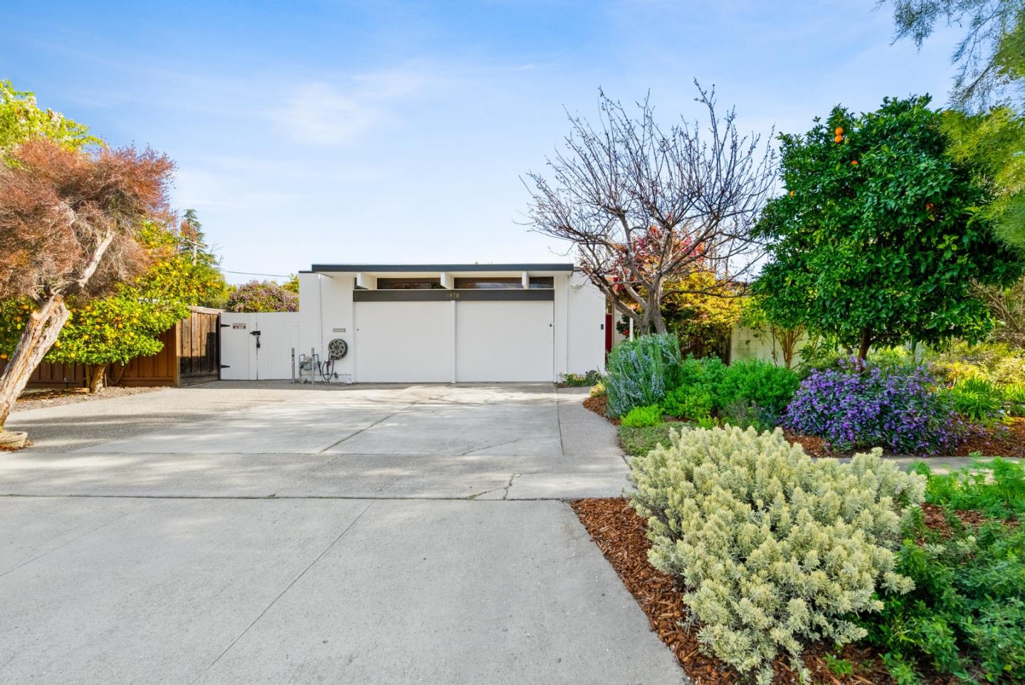 Neighborhood Neighborhood-81