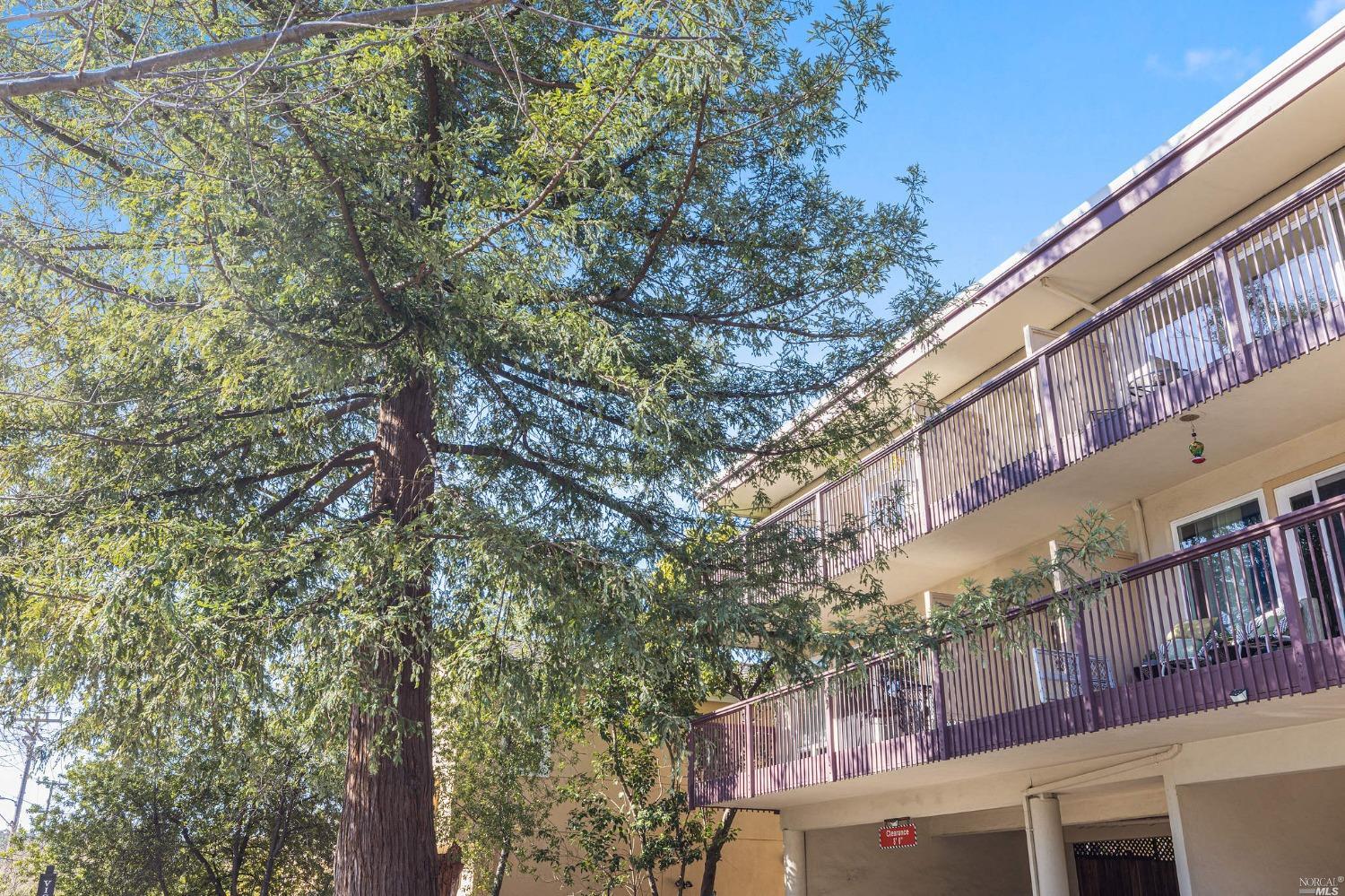 Neighborhood Neighborhood-27