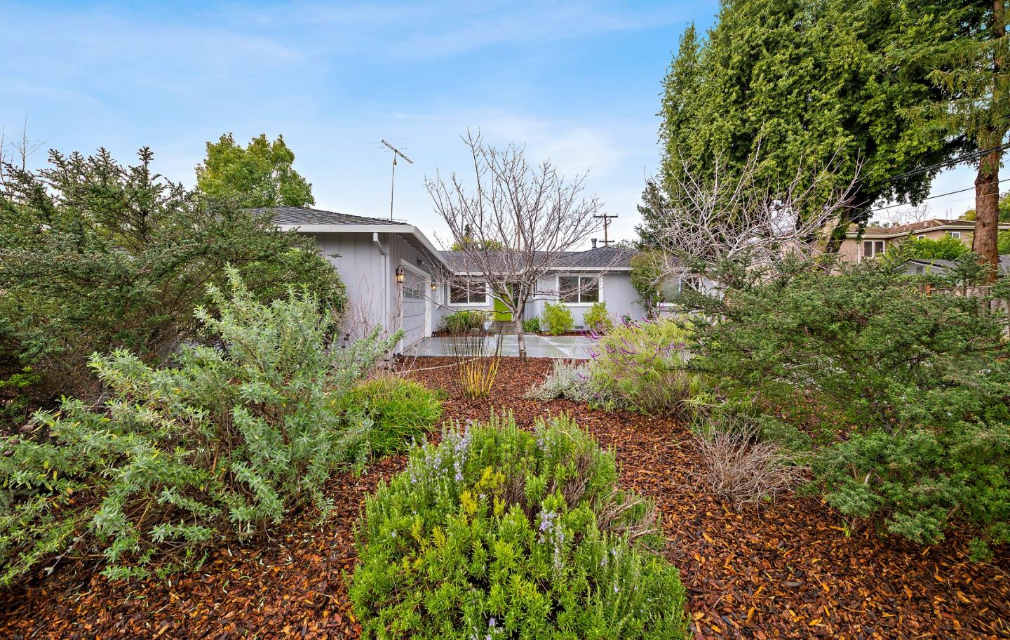 Neighborhood Neighborhood-61