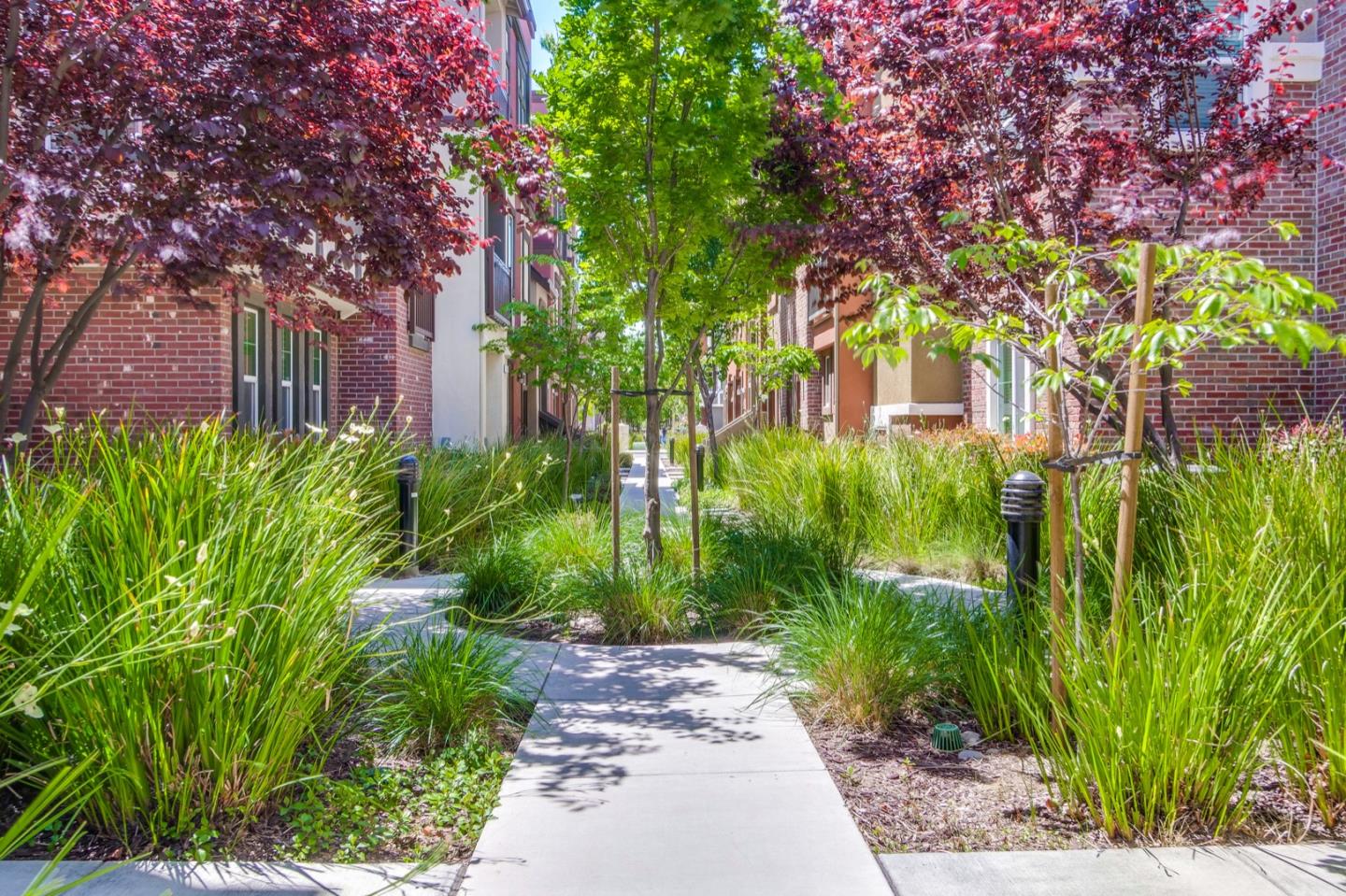 Neighborhood Neighborhood-55