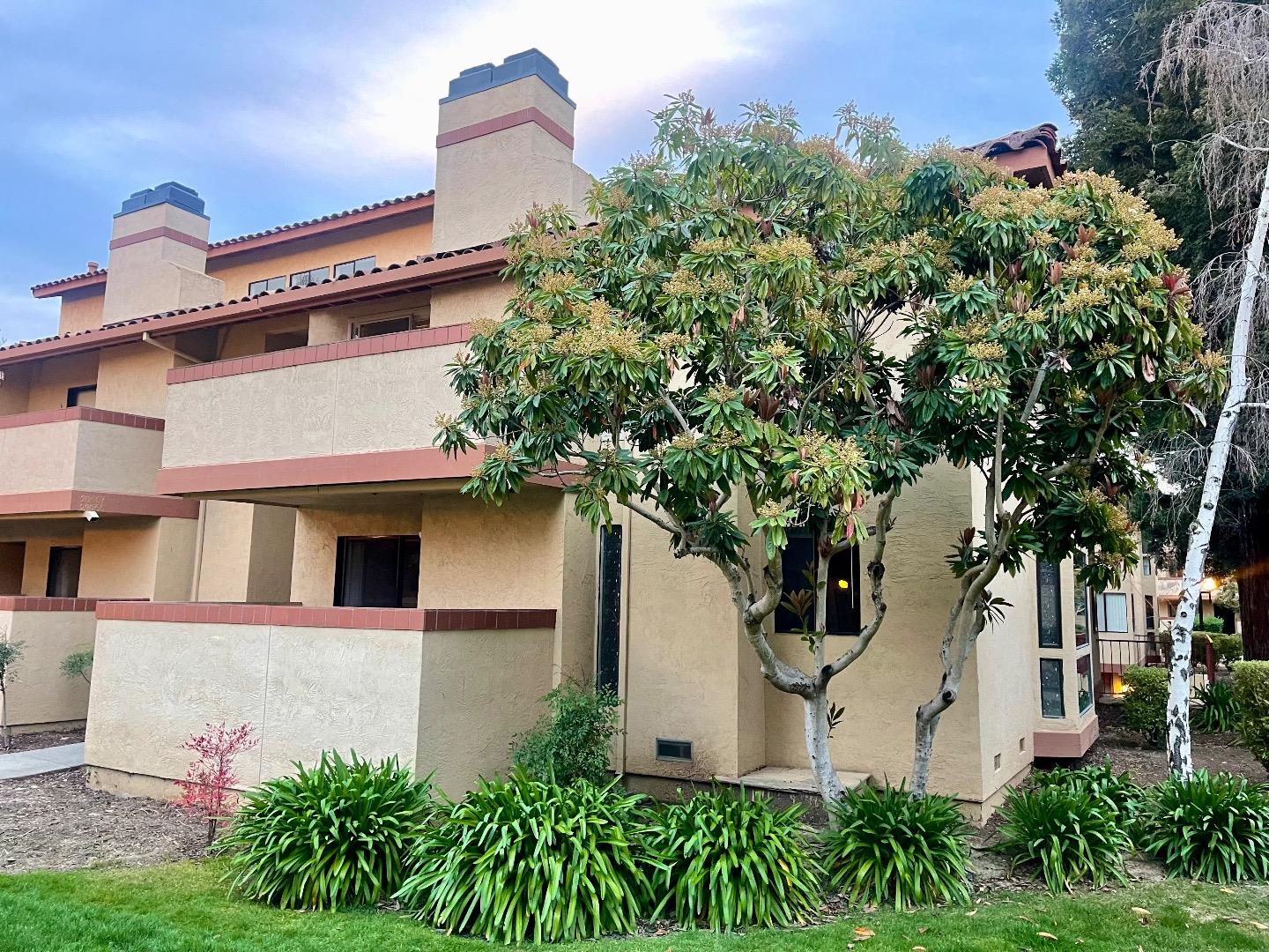 Neighborhood Neighborhood-24