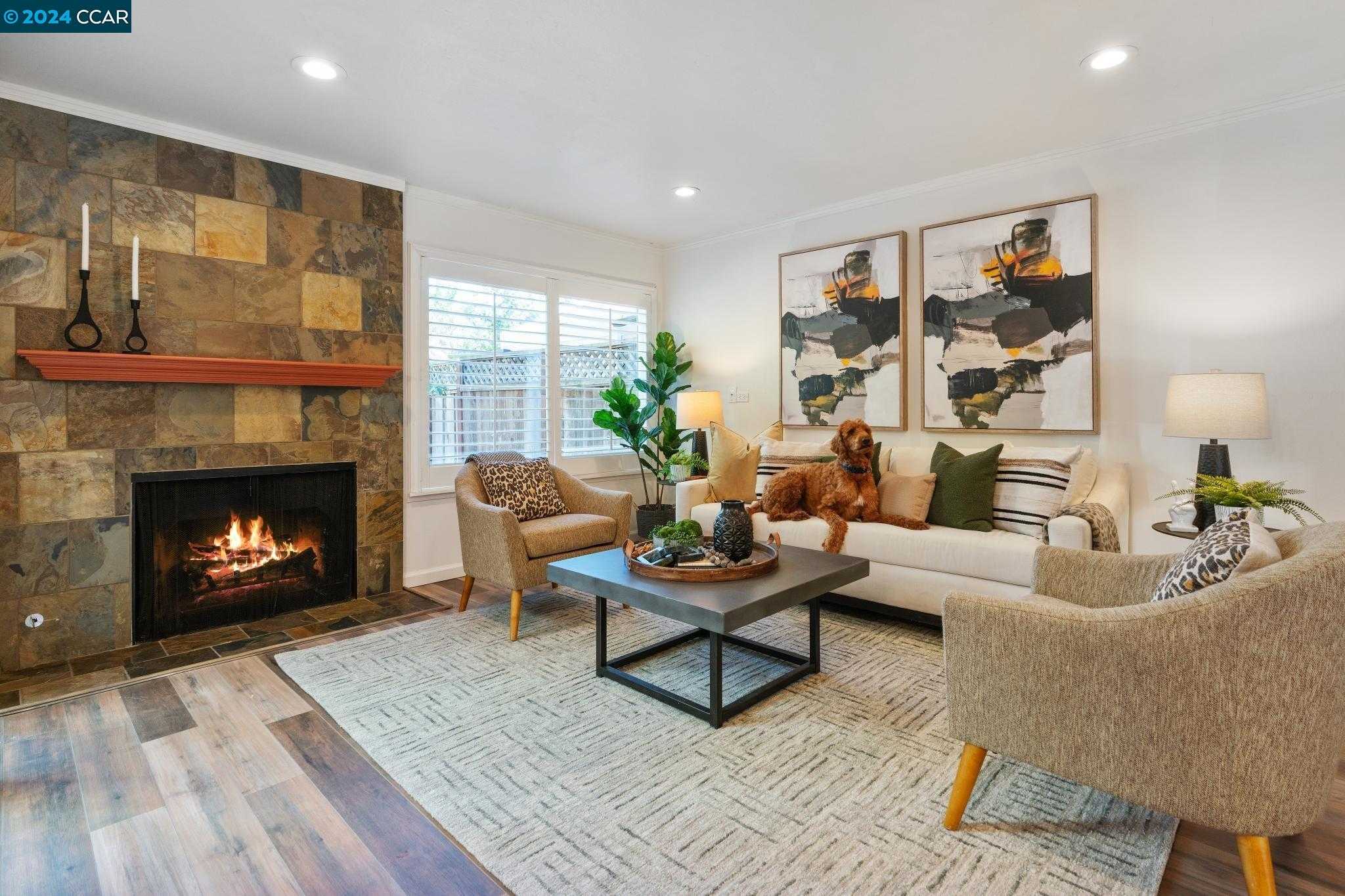 Neighborhood Neighborhood-11