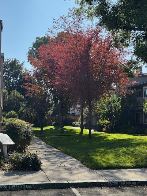 Neighborhood Neighborhood-11