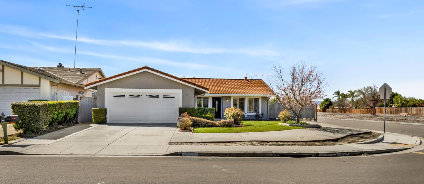 Neighborhood-19