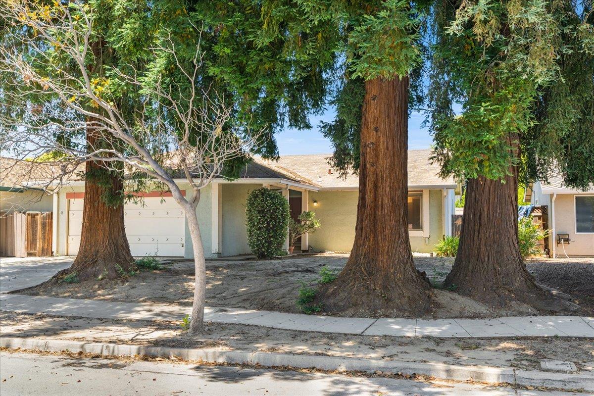 Neighborhood Neighborhood-35