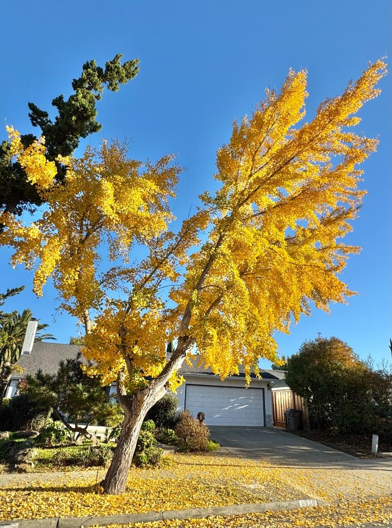 Neighborhood Neighborhood-29