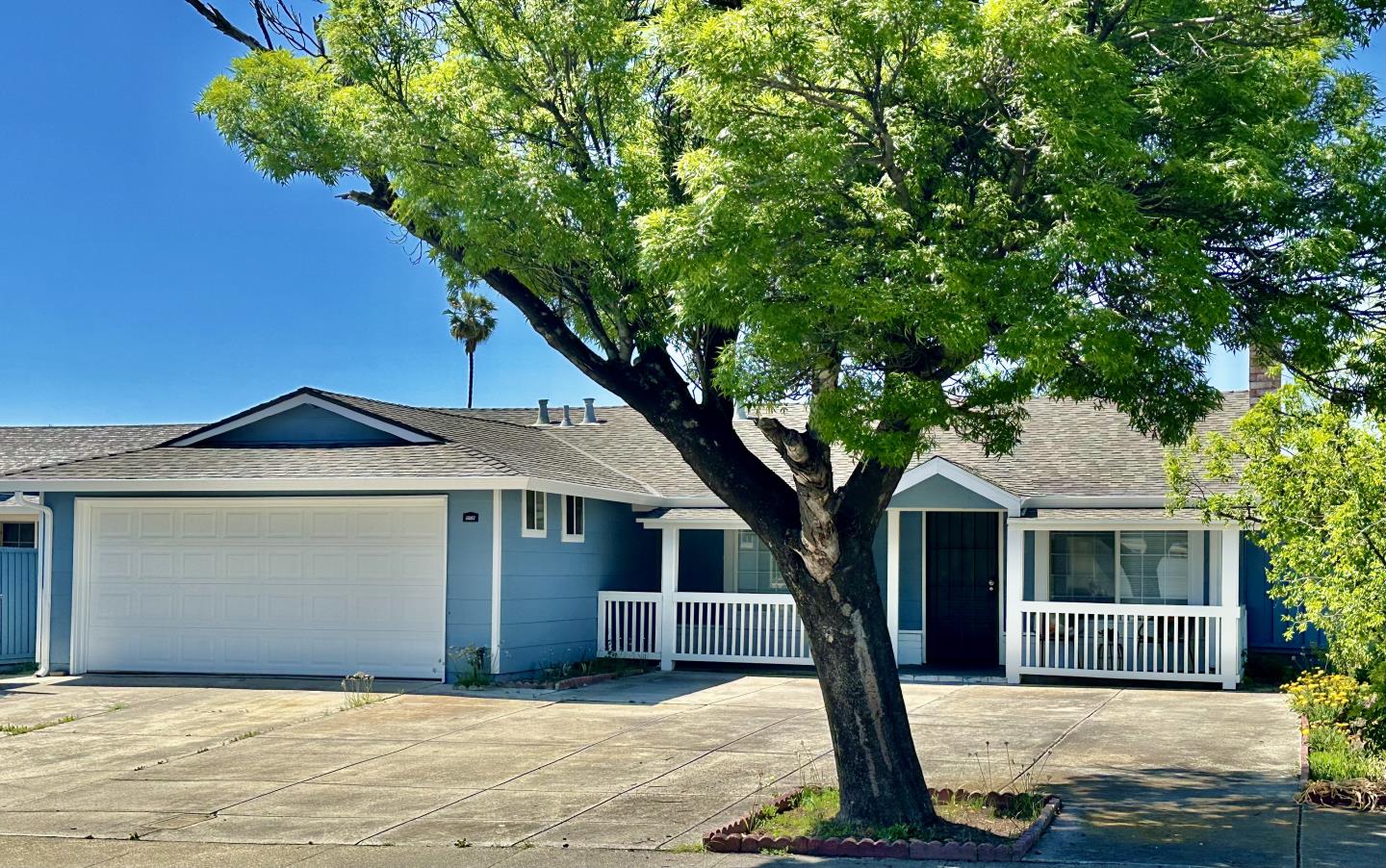 Neighborhood Neighborhood-17