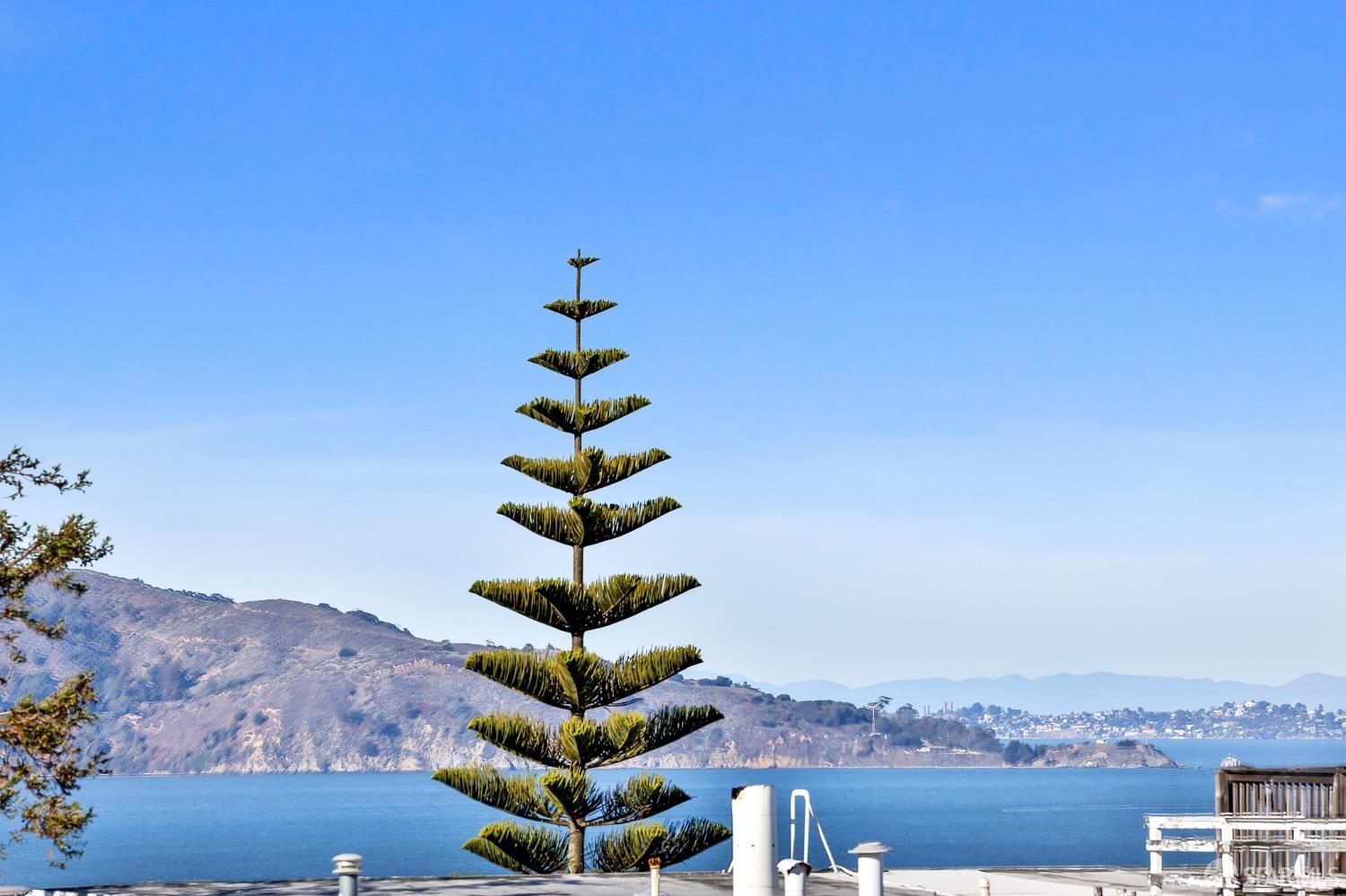 Neighborhood Neighborhood-25