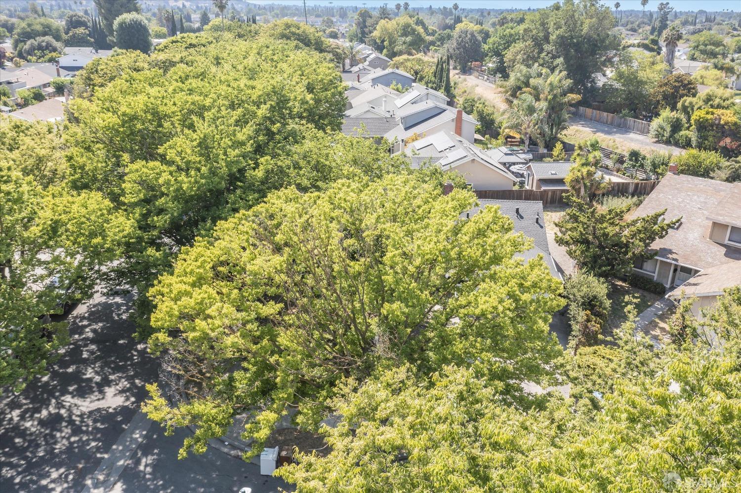 Neighborhood Neighborhood-4