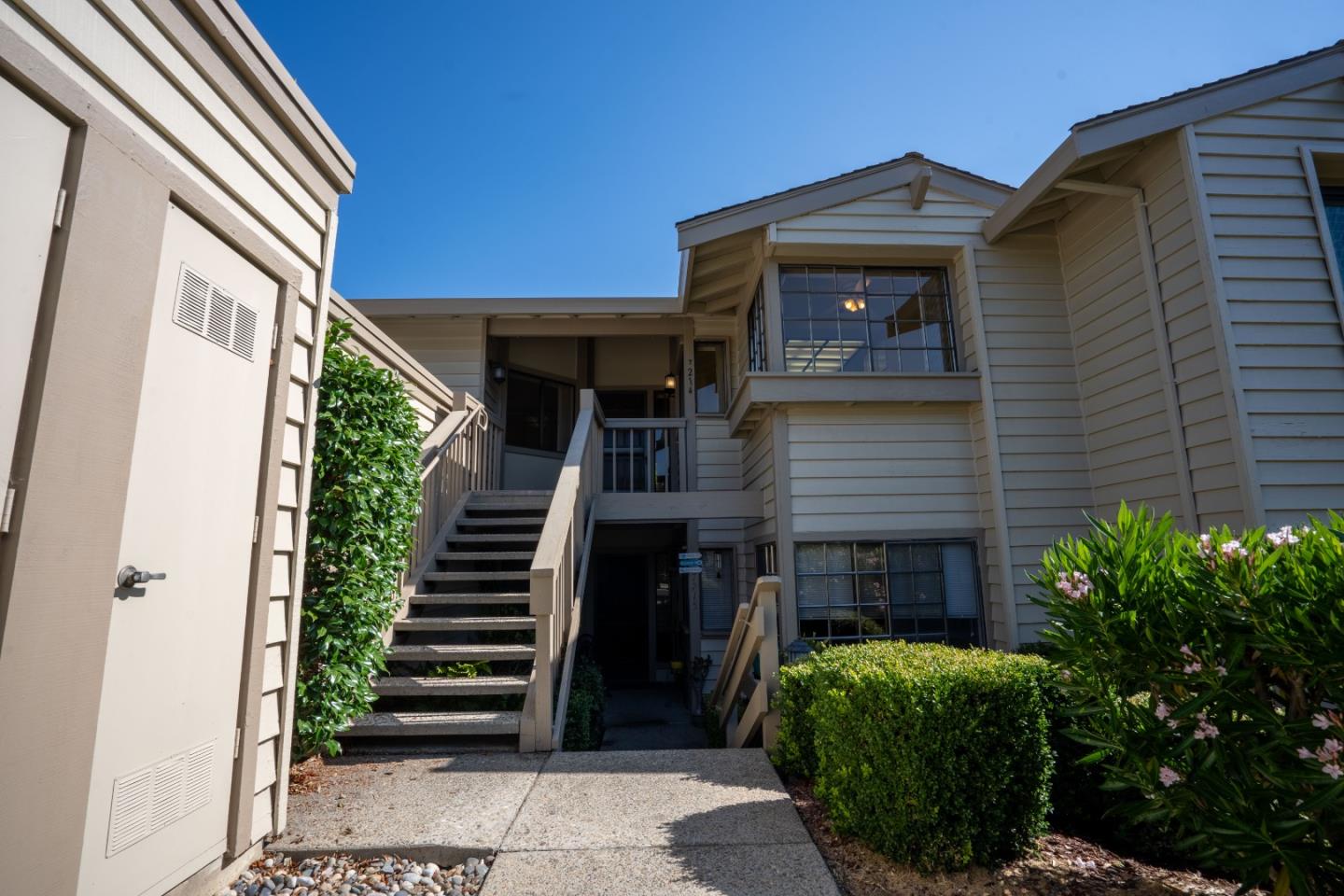 Neighborhood Neighborhood-81