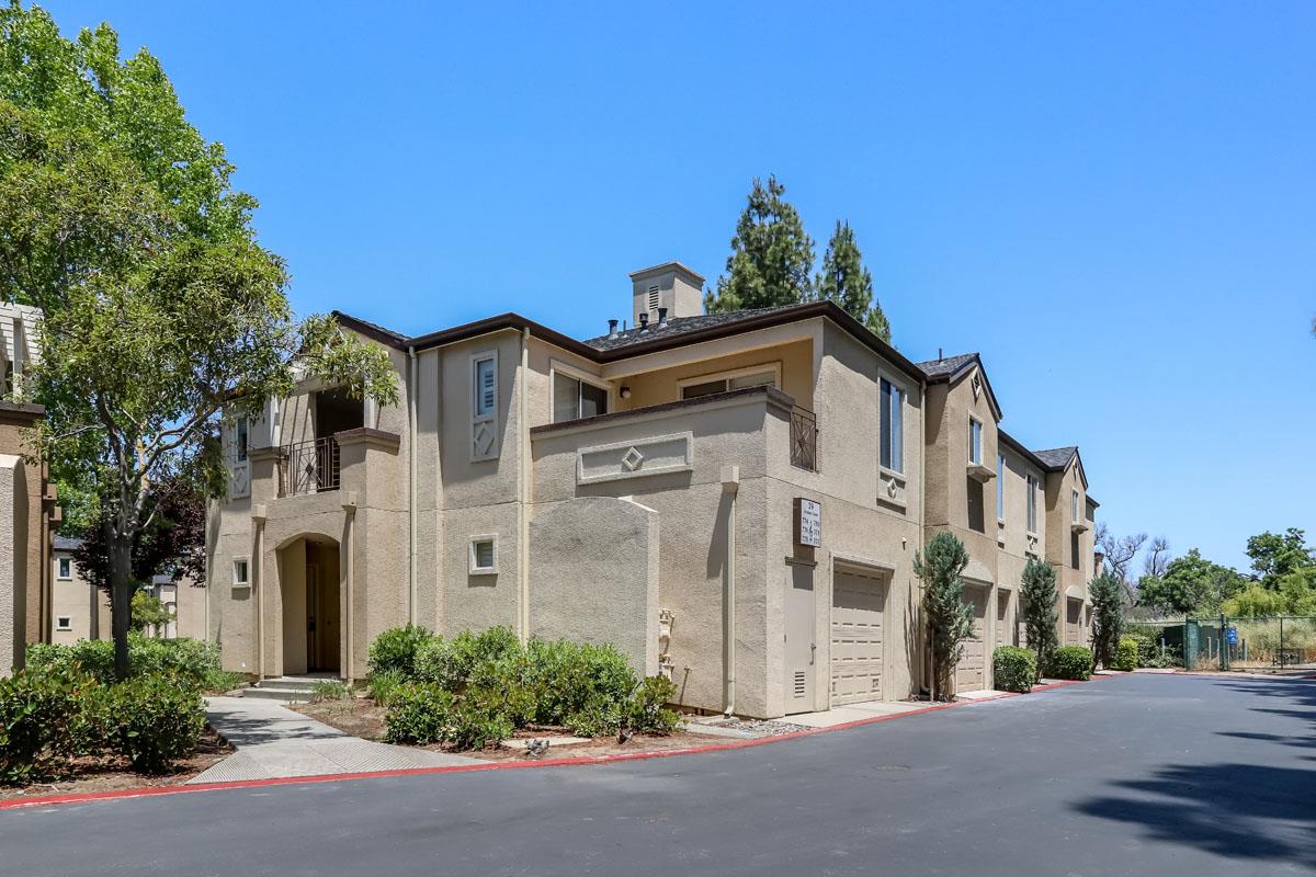 Neighborhood Neighborhood-81