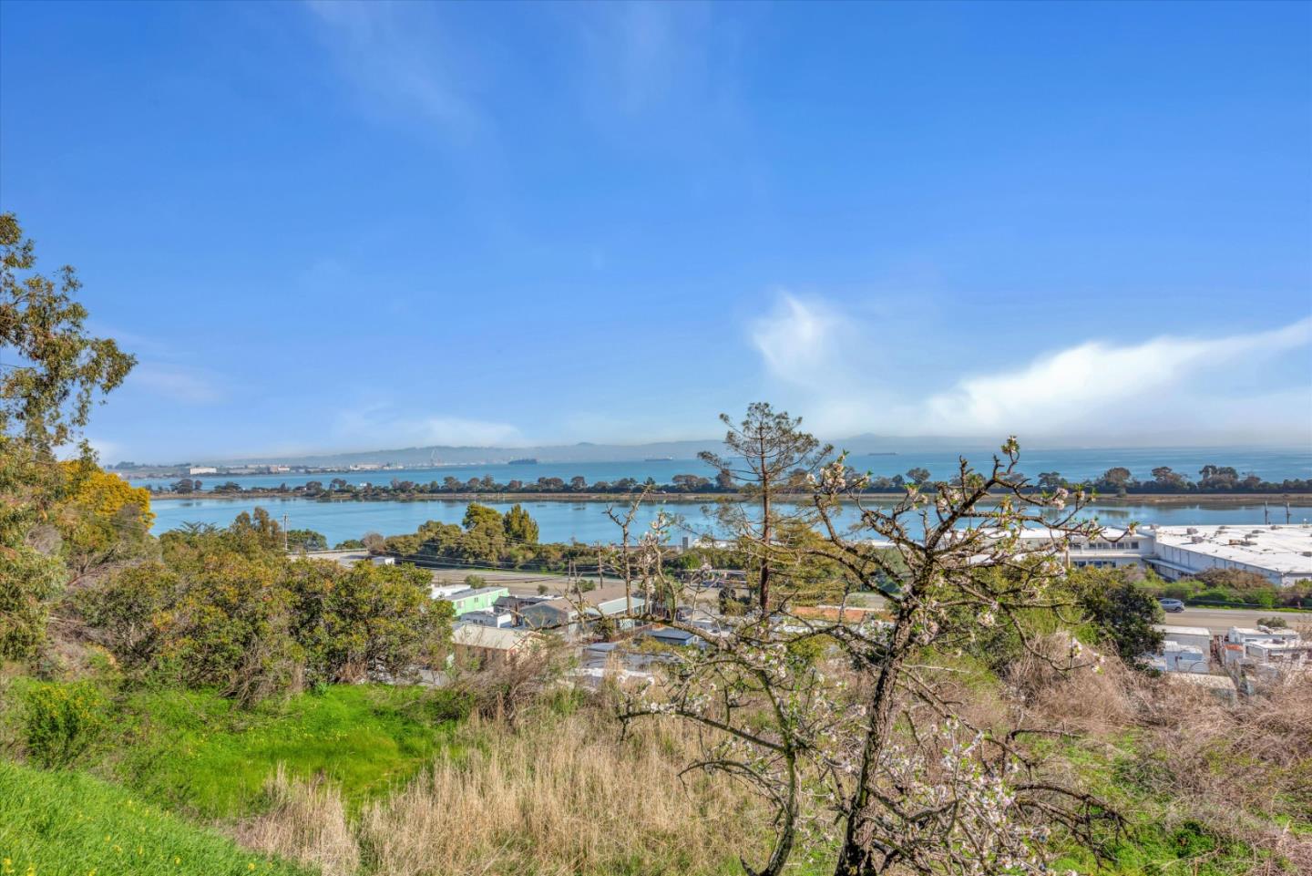 Neighborhood Neighborhood-1