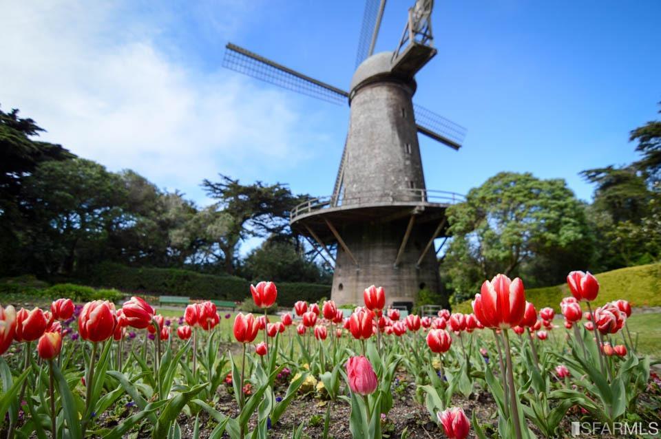 Neighborhood Neighborhood-74