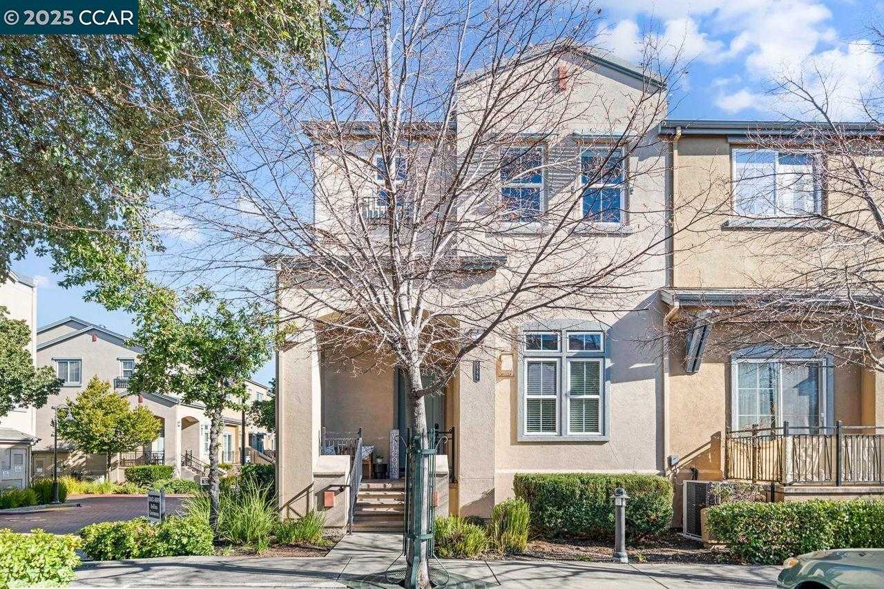 Neighborhood Neighborhood-8